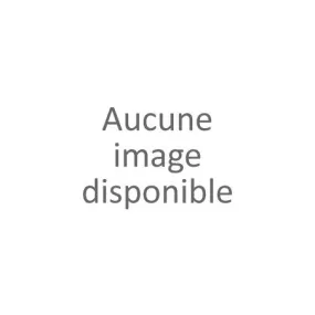 Basket lumineuse Aristochats (24-30)