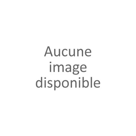 Basket noire femme (36-41)