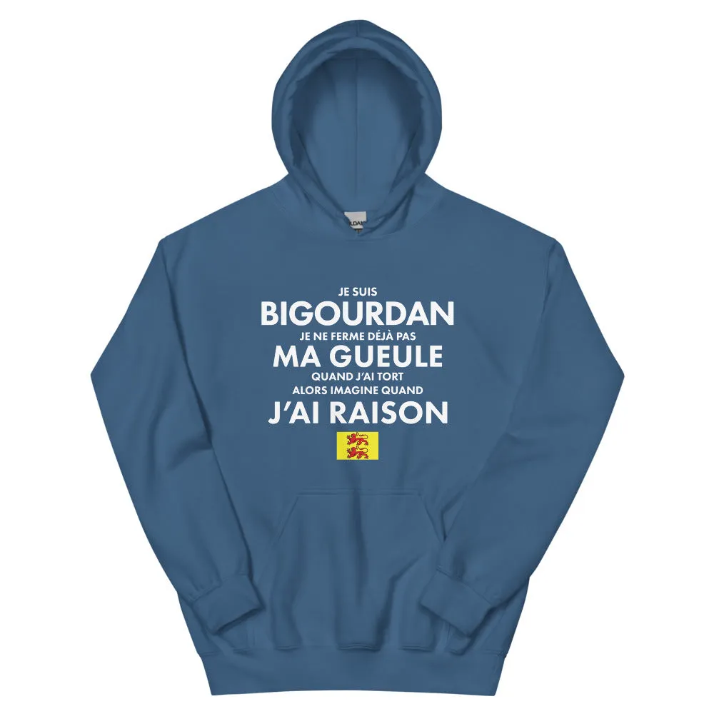 Je suis Bigourdan je ne ferme pas ma gueule - Sweatshirt à capuche standard