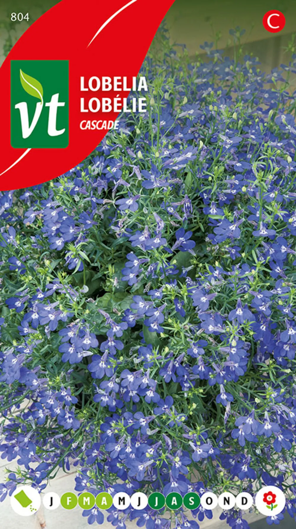 Lobelie cascade - ca. 0,4 gr (livraison gratuite)